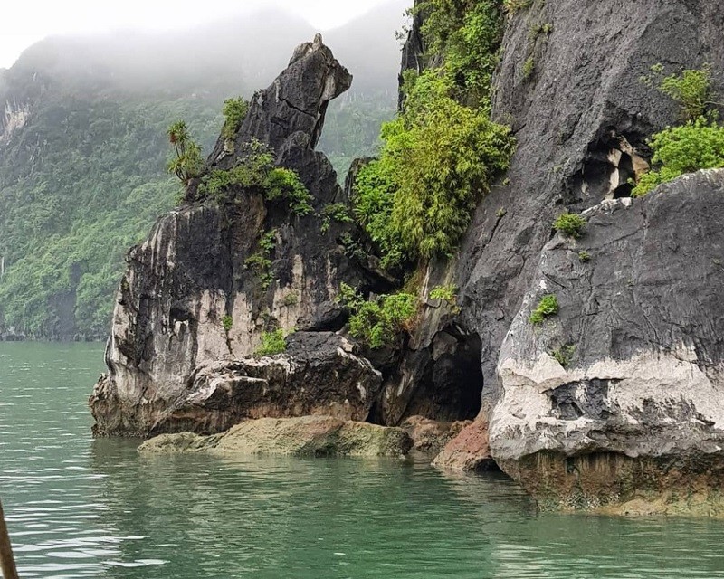 Vé tham quan vịnh Hạ Long