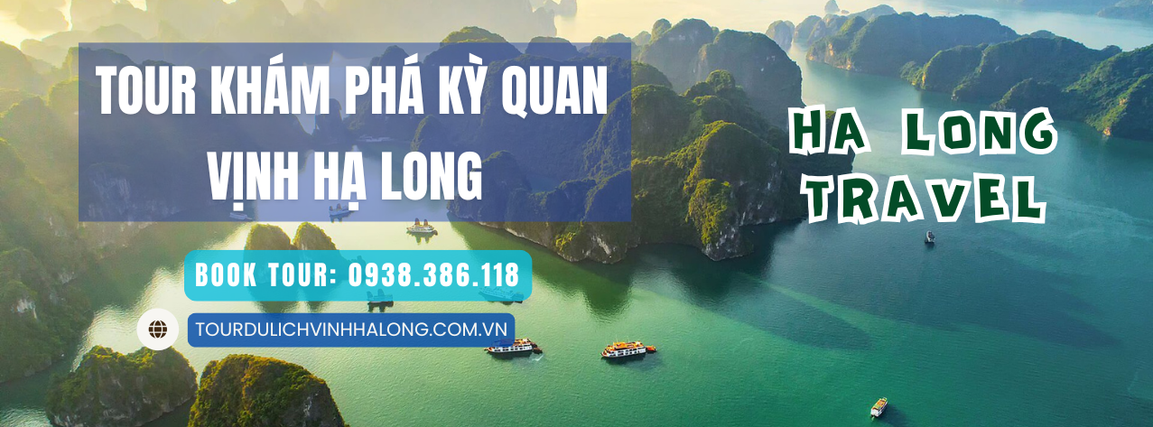 tour tham quan vịnh Hạ Long